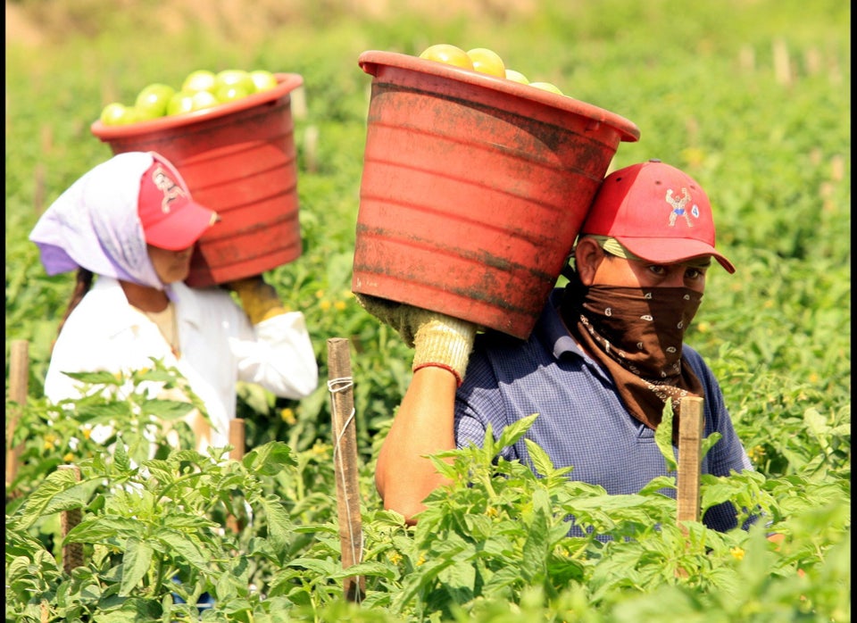 10. Farmworkers (Crop, Nursery, Greenhouse)