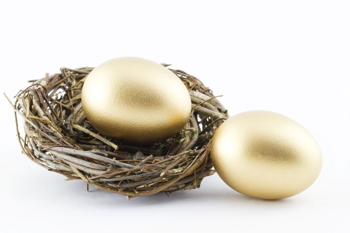 Two golden eggs with a twig nest depict financial hopes and results; white background;