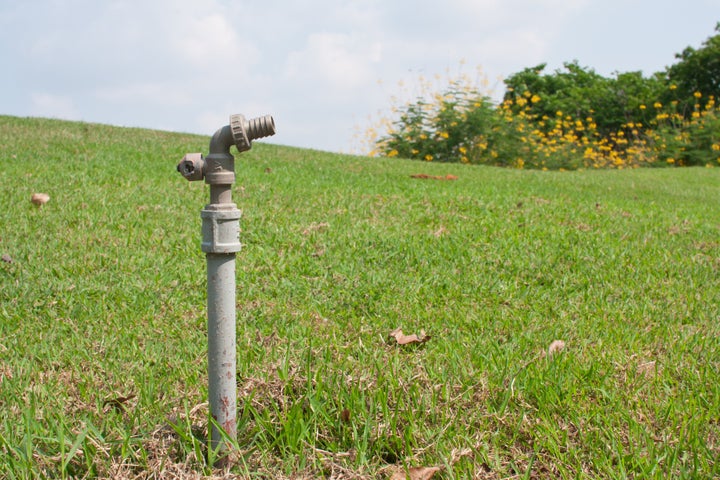 old garden tap in a green...