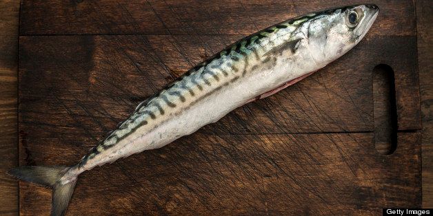 Whole Uncooked Mackerel from above against a rustic worn wooden chopping board.