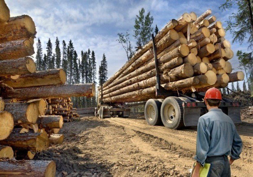 1. Logging Workers