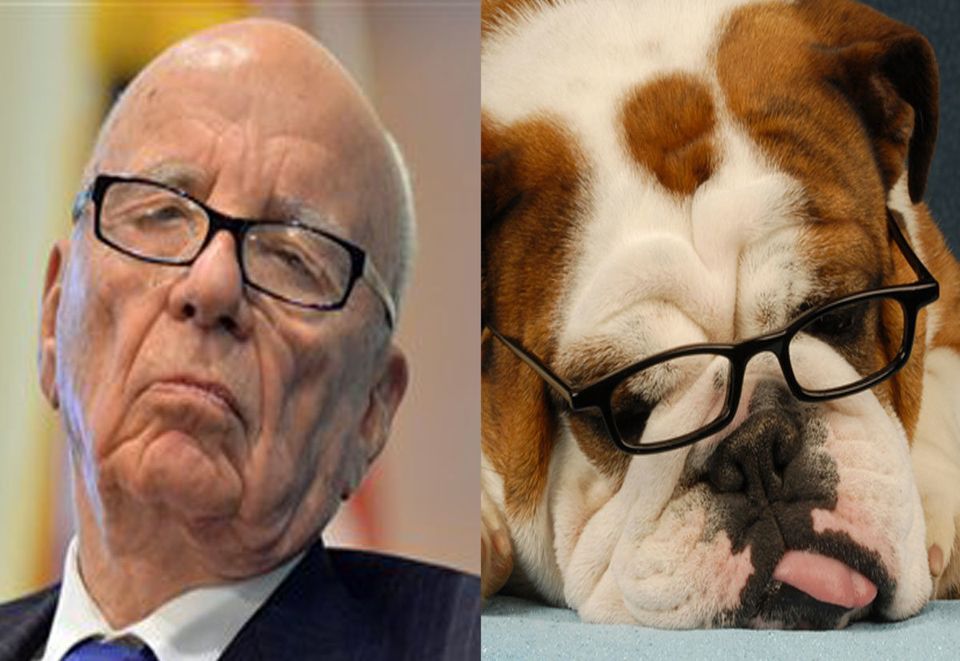 Rupert Murdoch, News Corp. CEO = Bulldog