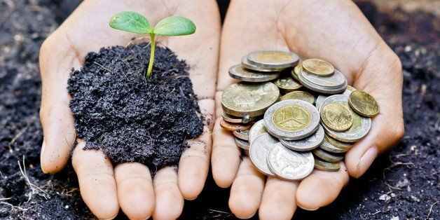 hands holding a tree and coins ...
