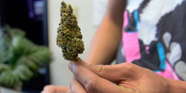 SILVERTHORNE, CO - JANUARY 1: High Country Healing opens its doors at 10 a.m. for its first day selling recreational marijuana. Bud-tender Joseph Lindsey shows a customer a large bud of Maui. (Photo by Kathryn Scott Osler/The Denver Post via Getty Images)
