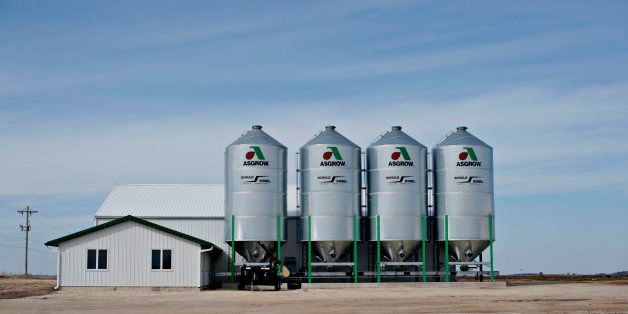 Signage for Monsanto Co. Asgrow brand soybeans hangs on the side of storage silos at the Crop Production Services facility in Manlius, Illinois, U.S., on Tuesday, April 1, 2014. Monsanto Co., the world's largest seed company, is scheduled to report quarterly earnings on April 2. Photographer: Daniel Acker/Bloomberg via Getty Images