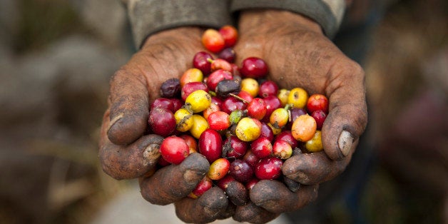 Fair trade shop coffee beans