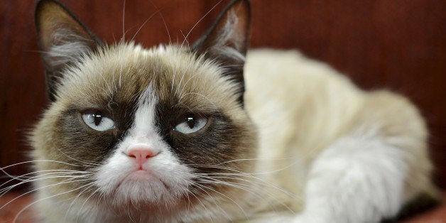 In this undated photo provided by Nestle Purina PetCare is Grumpy Cat. It probably won't affect her famous mood, but Grumpy Cat now has an endorsement deal. The St. Louis-based company announced Tuesday, Sept. 17, 2013, the frown-faced Internet sensation, real name Tardar Sauce, is now the "spokescat" for a Friskies brand of cat food. (AP Photo/Nestle Purina PetCare)