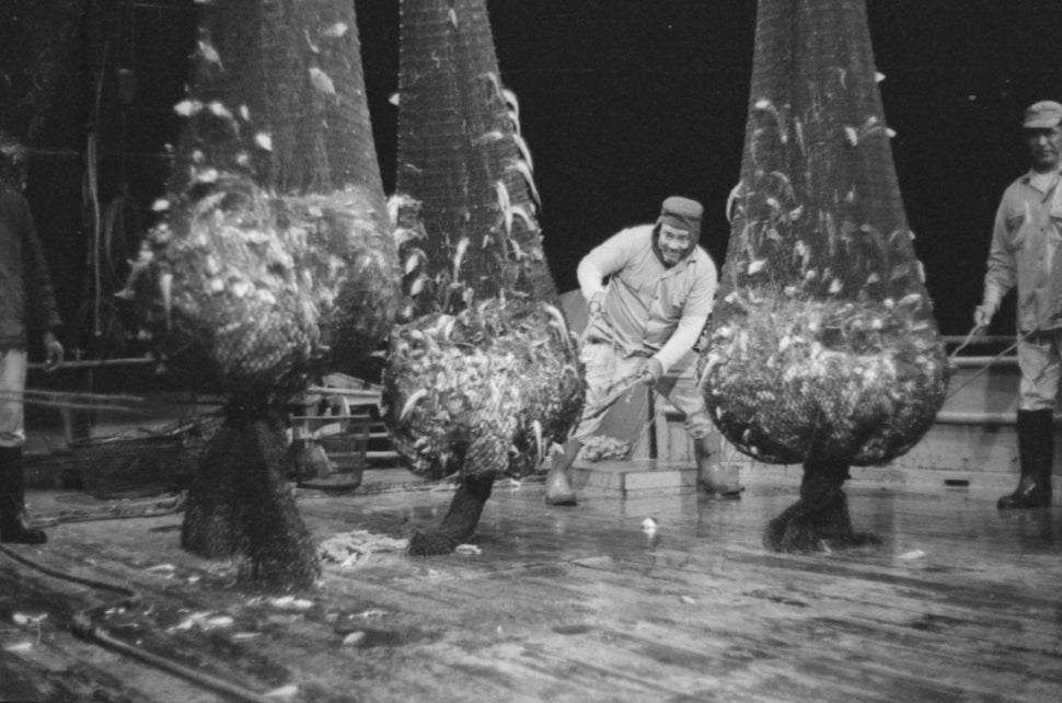 Circa 1969 - Fishermen in Manzanillo. In recent years, Cuba's fishing industry has been negatively affected by overfishing, a