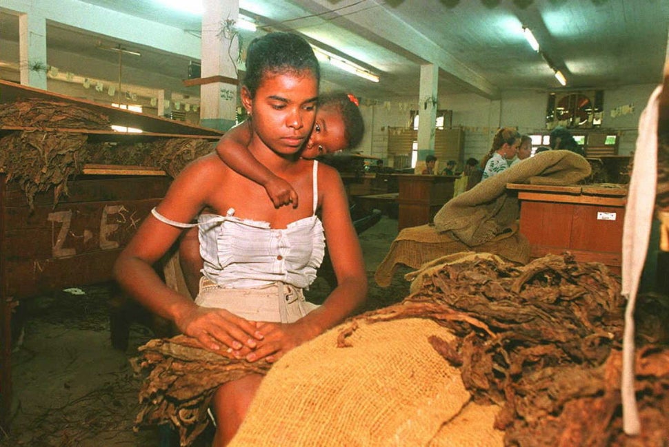 Circa 1995 - In the company of her daughter, a worker at a tobacco leaf cleaning station gets leaves ready for shipping to a 