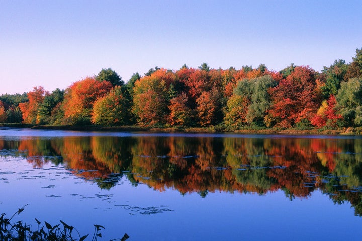 <strong>월든 호수(Walden Pond) 헨리 데이비드 소로가 머물었던 호수로 그의 저서인 '월든'을 따 이름 지어졌다.</strong>