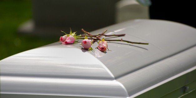 horizontal photo of three roses ...
