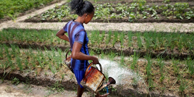 BANGUI, CENTRAL AFRICAN REPUBLIC - MARCH 13: A young African woman at work in the fields, watering crops just outside Bangui pictured on March 13, 2014 near Bangui, Central African Republic. (Photo by Thomas Koehler/Photothek via Getty Images) 