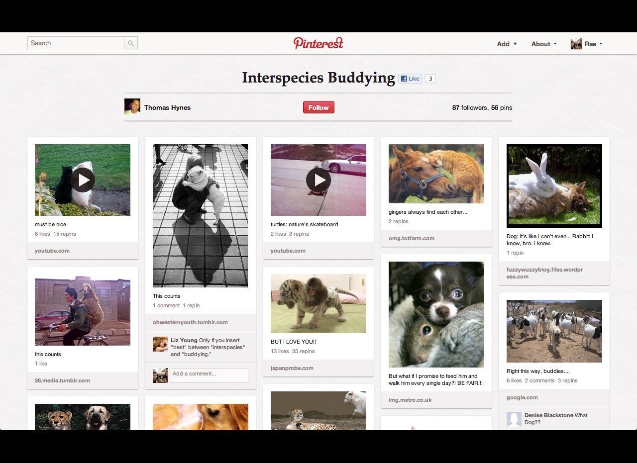 best pinboard for pinterest on android device