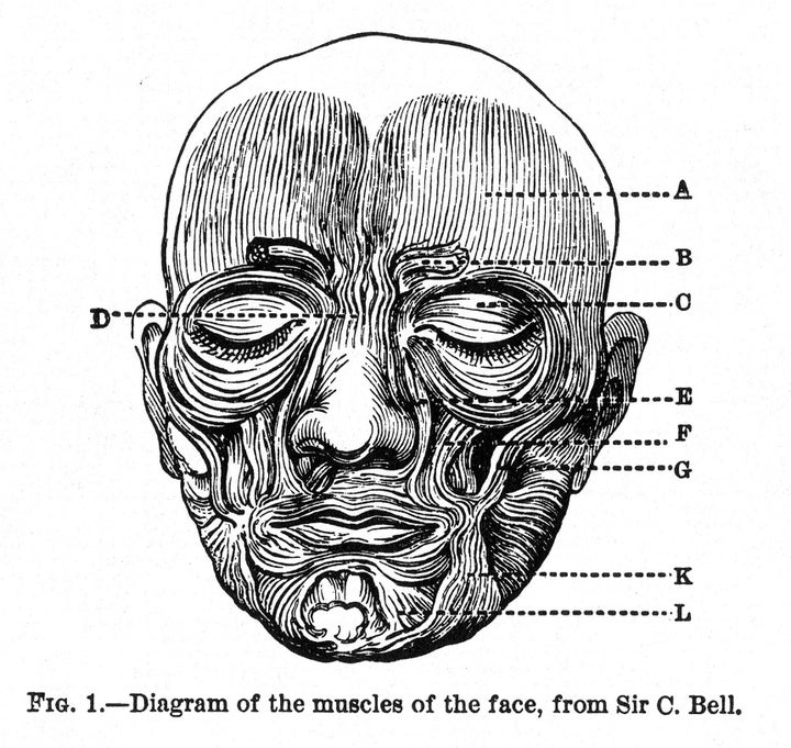 Description Figure 1 from Charles Darwin 's The Expression of the Emotions in Man and Animals , showing human facial muscles (see also Image ...