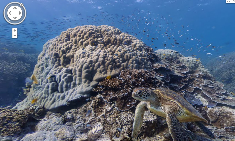 Heron Island, Great Barrier Reef, Australia 