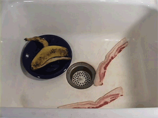 Zombie Sink Bacon