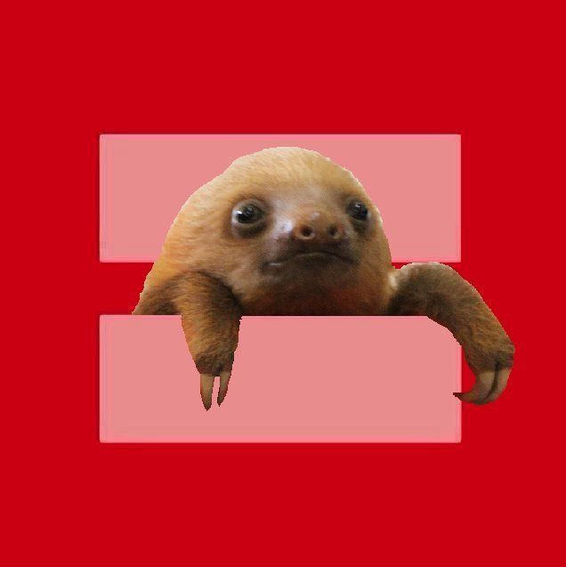 red equal sign parody