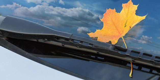autumn leaf on a car windshield