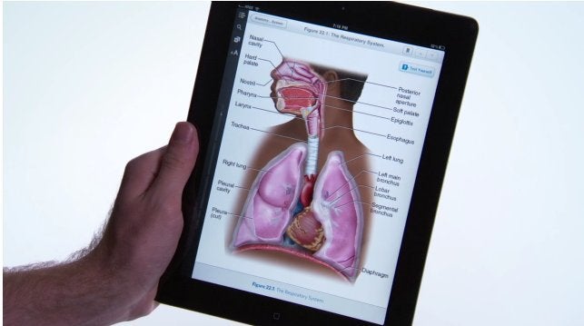 Matt MacInnis And Inkling Are Reinventing Textbooks For Tablets