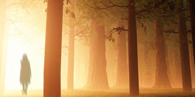 Deep Mysterious Forest Yurei Ghost Appear
