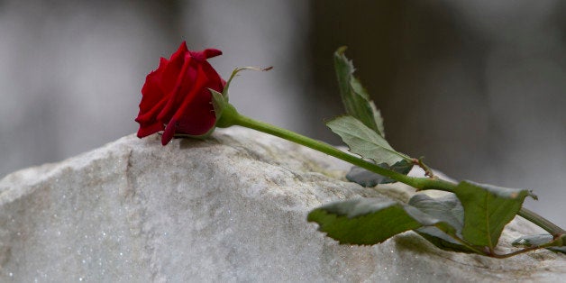 Red rose on gravestone in cemetery