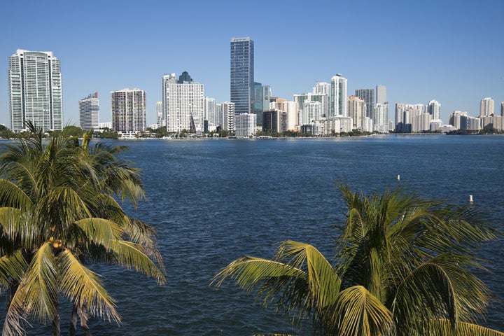 palms and skyline of miami ...