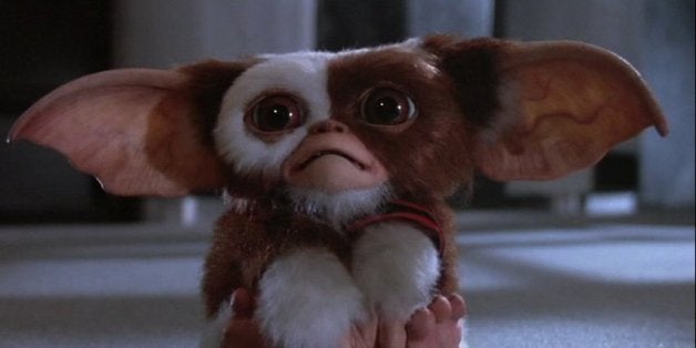 Gremlins: Gizmo Plush Journal, Book by Insights