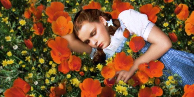 Judy Garland (1922-1969), US actress and singer, sleeping in a field of red poppies and yellow flowers in a publicity still issued for the film, 'The Wizard of Oz', USA, 1939. The musical, directed by Victor Fleming (1889-1949), starred Garland as 'Dorothy'. (Photo by Silver Screen Collection/Getty Images)