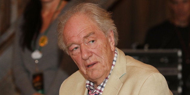 ORLANDO, FL - JANUARY 30: Michael Gambon participtaes in A Celebration of Harry Potter at Universal Orlando on January 30, 2015 in Orlando, Florida. (Photo by Aaron Davidson/Getty Images)