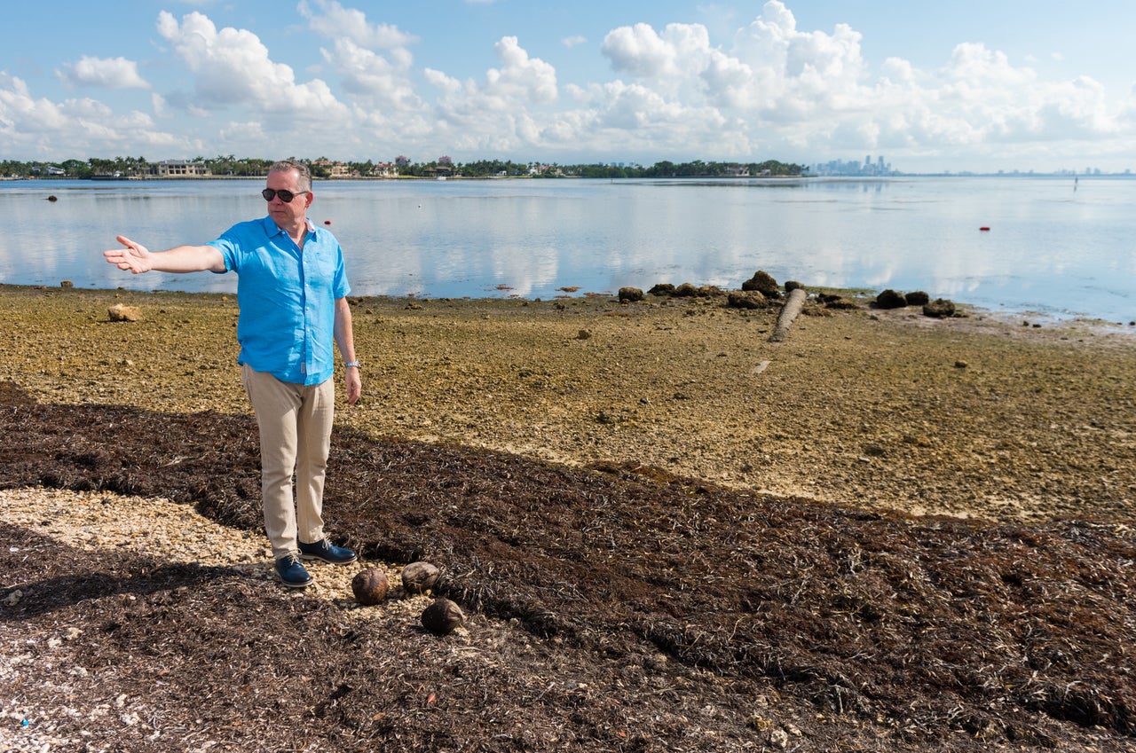 Morales at Matheson Hammock Park, where signs of last year's flooding from Hurricane Irma remain.