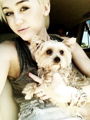 miley cyrus mourns death