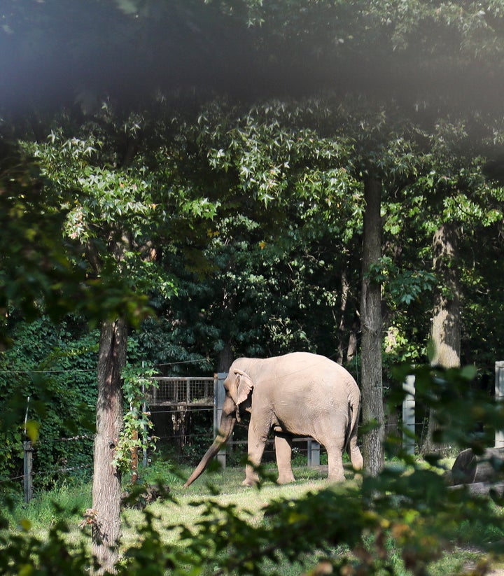 The Nonhuman Rights Project wants Happy moved to a sanctuary where she would have more space and the opportunity for a richer social life. But the Bronx Zoo says that moving her from familiar surroundings and the humans she's bonded with would do more harm than good. 