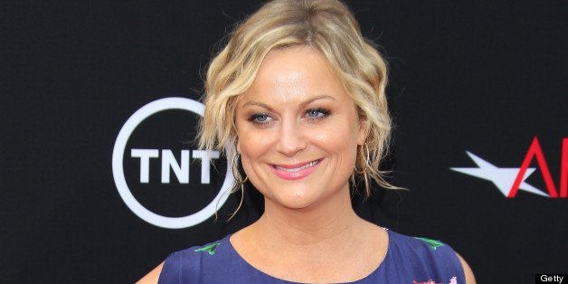 HOLLYWOOD, CA - JUNE 06: Amy Poehler attends AFI's 41st Life Achievement Award Tribute to Mel Brooks at Dolby Theatre on June 6, 2013 in Hollywood, California. (Photo by JB Lacroix/WireImage)