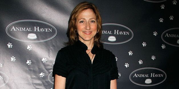 NEW YORK, NY - JUNE 04: Edie Falco attends 3rd Annual Performance For The Animals Benefiting Animal Haven at Top of The Standard Hotel on June 4, 2013 in New York City. (Photo by Laura Cavanaugh/Getty Images)