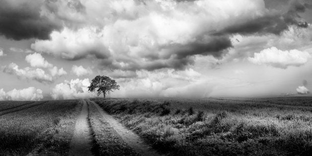 Landscape with a lonely tree in black and white.