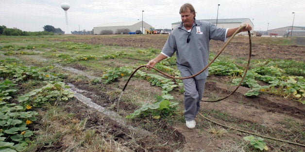 ** APN ADVANCE FOR SUNDAY OCT. 21 ** Inmate James Burton Jr. waters the "Restorative Justice Gardens" at the Southeast Correctional Center in Charlestson, Mo. Wednesday, Sept. 5, 2007. Inmates have produced tens of thousands of pounds of fresh vegetables this summer at the six-acre garden in the state prison complex, all of it donated to the Bootheel Food Bank in Sikeston, Mo., serving some of the poorest counties in the state. (AP Photo/Jeff Roberson)