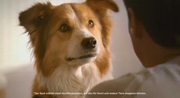 beneful dog food commercial