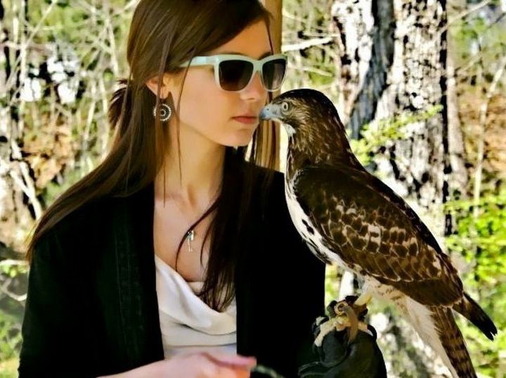 Jackie Barry, Female Falconer, Hunts With Birds Of Prey In A 'Boys Club'  (PHOTOS) | HuffPost Women