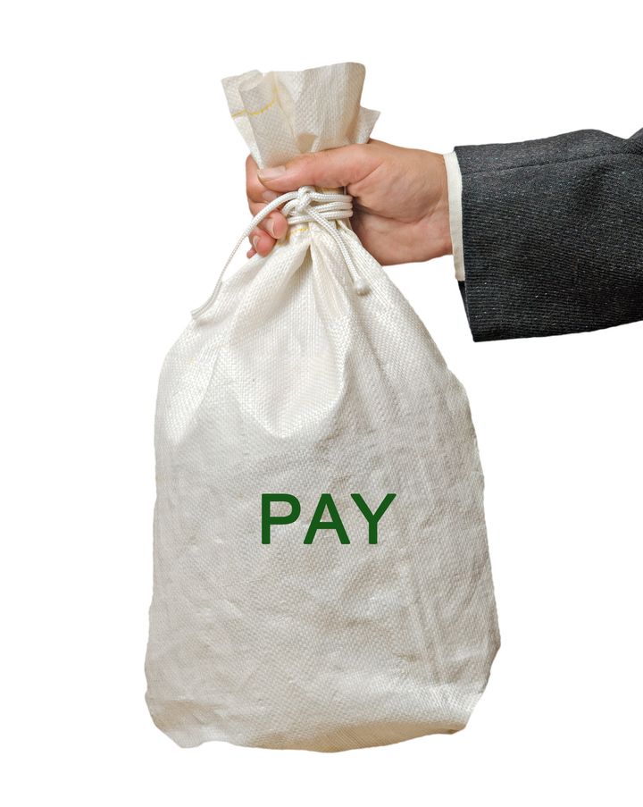 Bag with pay