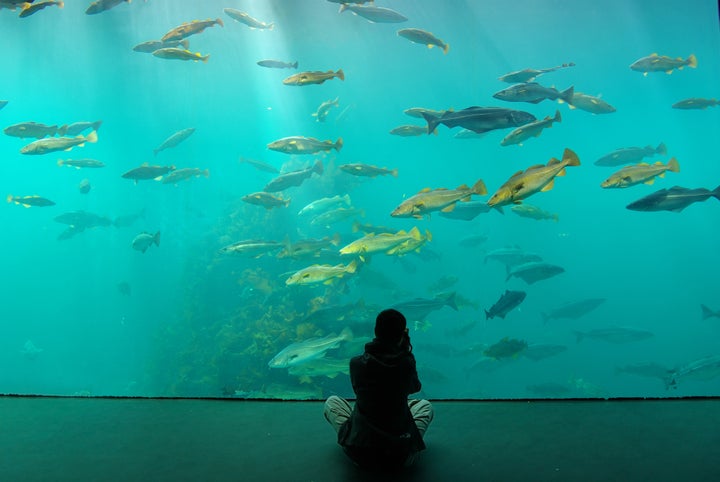 Zoo Aquarium Alesund. Norway