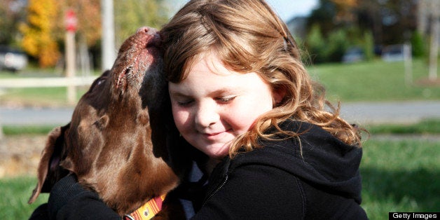 Dog is a chocolate labrador