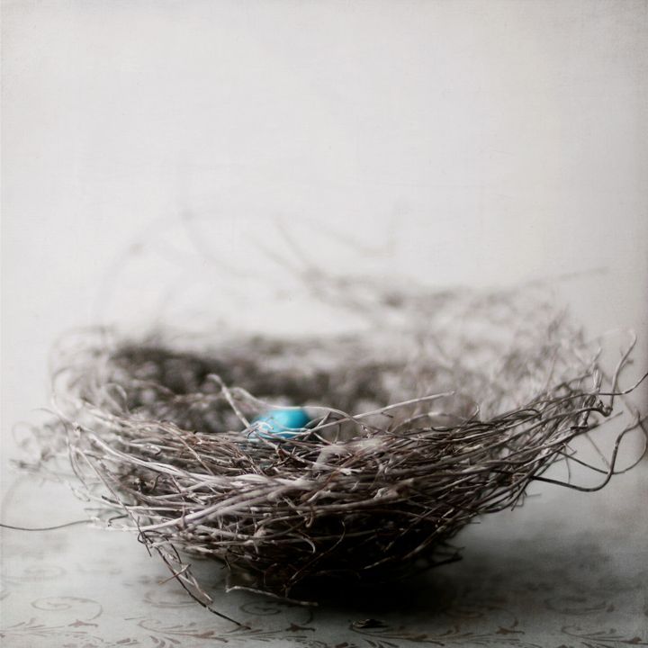 Natural bird's nest with one blue speckled egg
