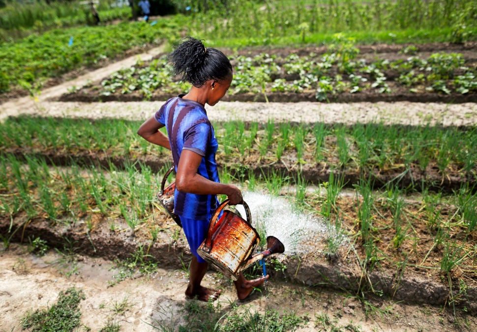 A young African woman at work in the fields, watering crops just outside Bangui pictured on March 13, 2014 near Bangui, Centr