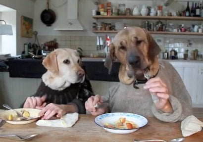 Funny Video: Two Dogs Dining | HuffPost Women Funny Video: Two Dogs Dining | HuffPost Women