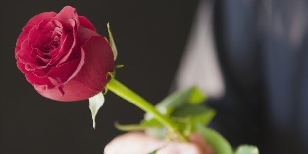 Hand holding red rose