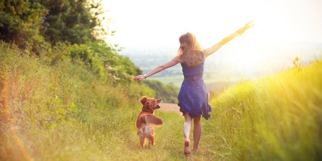 Young woman with blonde hair running down grass track alongside barley crop with golden retriever dog. Summer, Dorset, UK