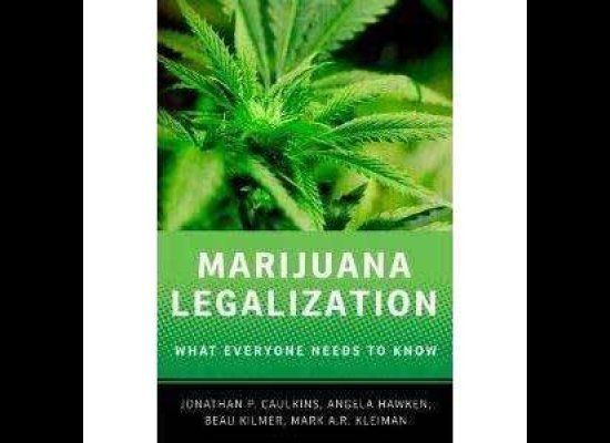 "Marijuana Legalization: What Everyone Needs to Know"