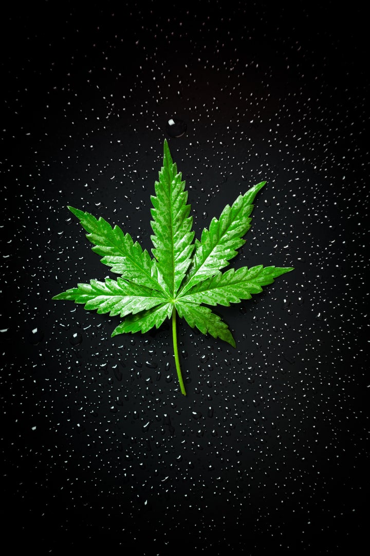 leaf marijuana