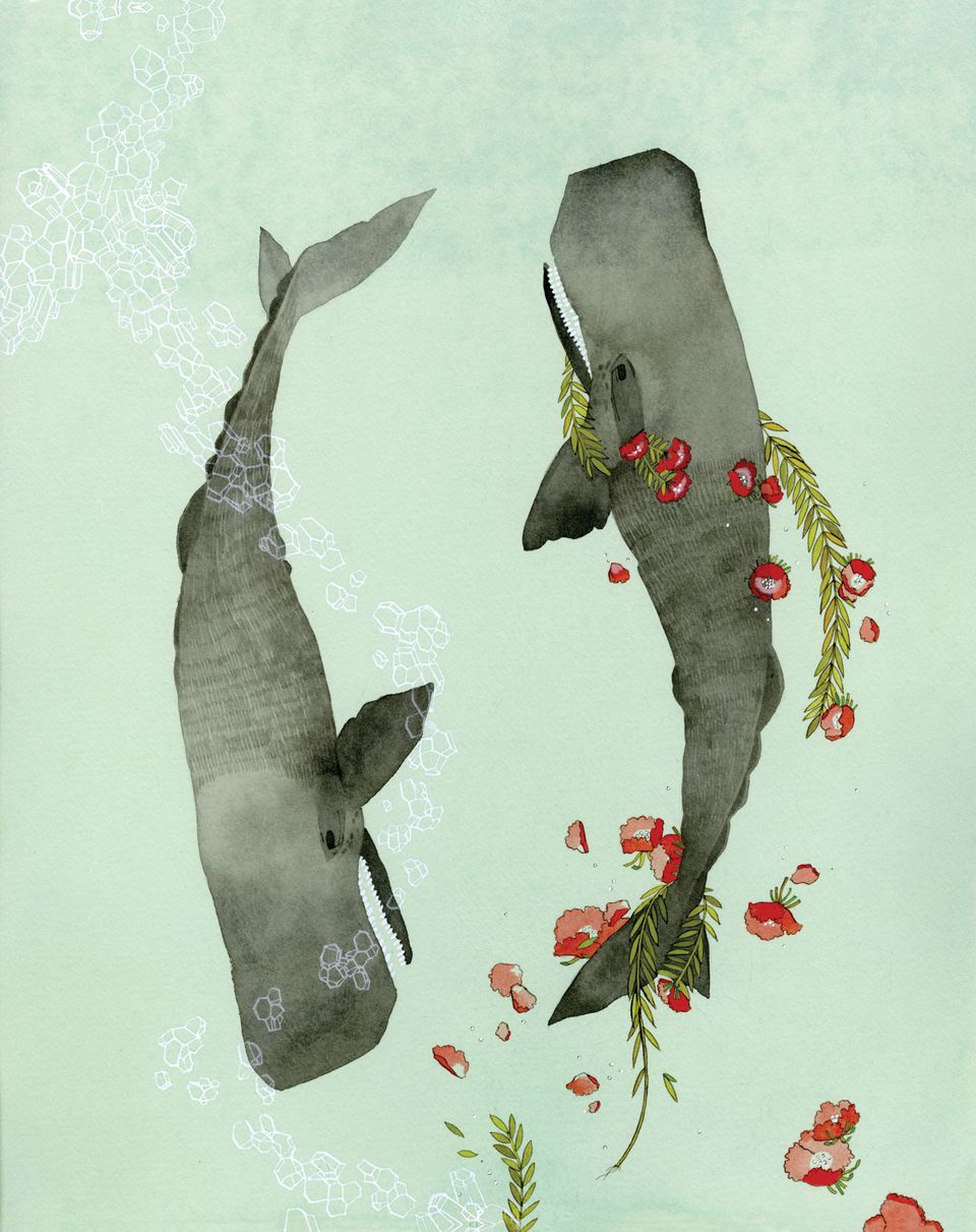 Whales by Jen Corace
