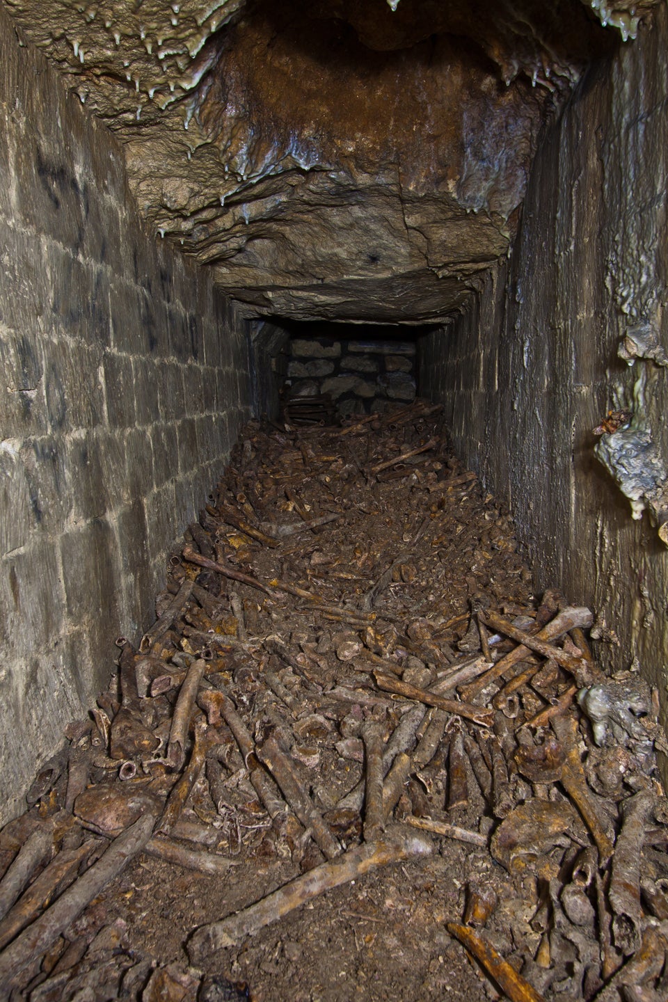 Bones in the Paris Catacombs